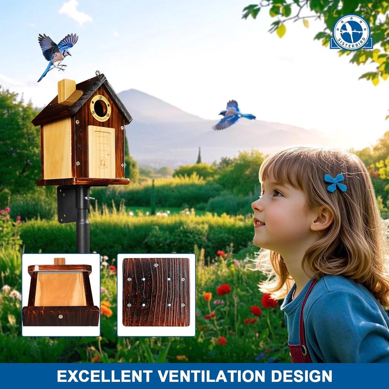 SISTERBIRD Bluebird Houses for Outside, Premium Bird Houses for Outside, Wooden Cabin Birdhouses for Outdoors, Weatherproof Courtyard Decorated Hanging Bird House, Nesting Bird House - Image 4